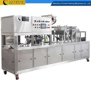 BG-2 Inline Type Bean Curd Tray Filling and Sealing Machine 